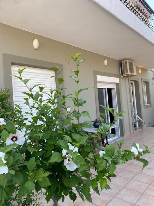 Ilisia Neapoli Apartments 1 Neapoli Voion Bagian luar foto