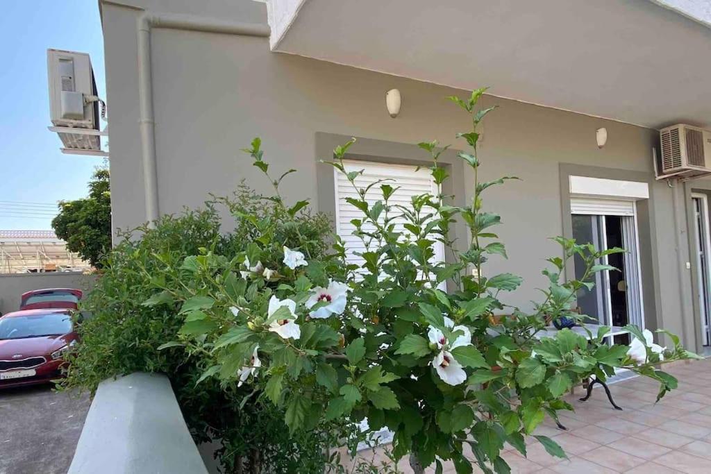 Ilisia Neapoli Apartments 1 Neapoli Voion Bagian luar foto